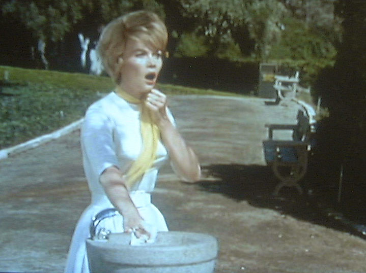 Dorothy Provine who by now is thoroughly disgusted with the others, is the ...